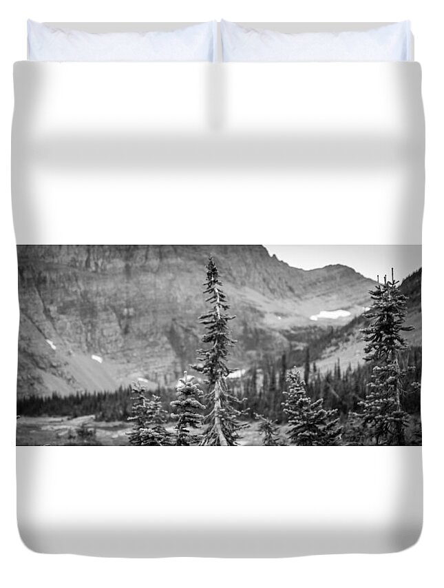 Alex Blondeau Duvet Cover featuring the photograph Gnarled Pines by Alex Blondeau