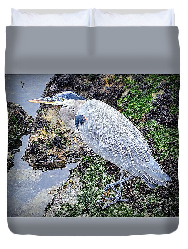 Bird Duvet Cover featuring the photograph Great Blue Heron #2 by AJ Schibig