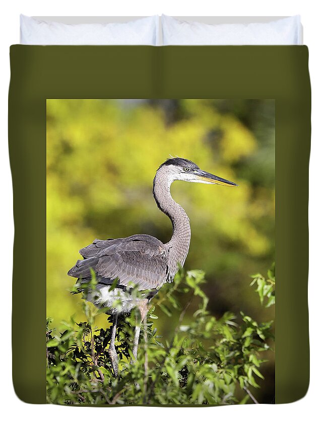Great Blue Heron Duvet Cover featuring the photograph Great Blue Heron #1 by Jack Nevitt