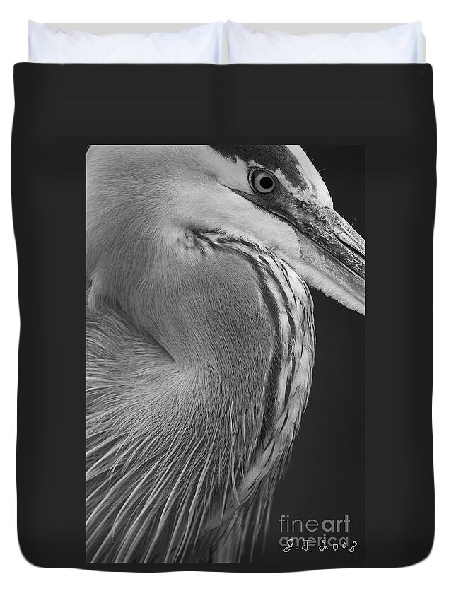 Birds Duvet Cover featuring the photograph Great Blue Heron Focus 2008 by John F Tsumas