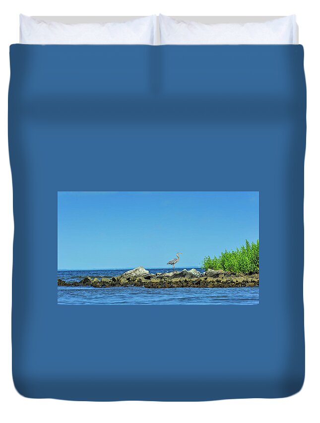 Ardea Herodias Duvet Cover featuring the photograph Great Blue Heron on the Chesapeake Bay #1 by Patrick Wolf