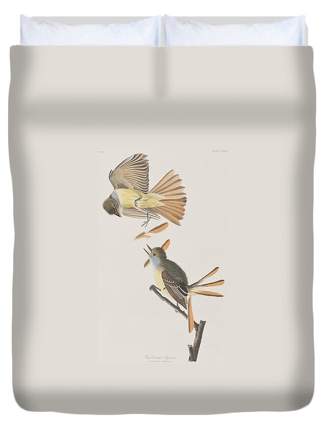 Great Crested Flycatcher Duvet Covers
