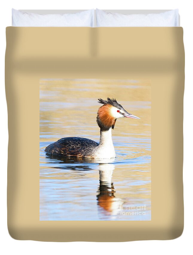 Wildlife Duvet Cover featuring the photograph Great Crested Grebe #1 by Colin Rayner