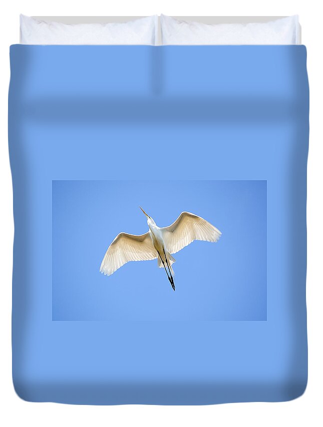 Egret Duvet Cover featuring the photograph Great Egret In Flight #1 by Kenneth Albin