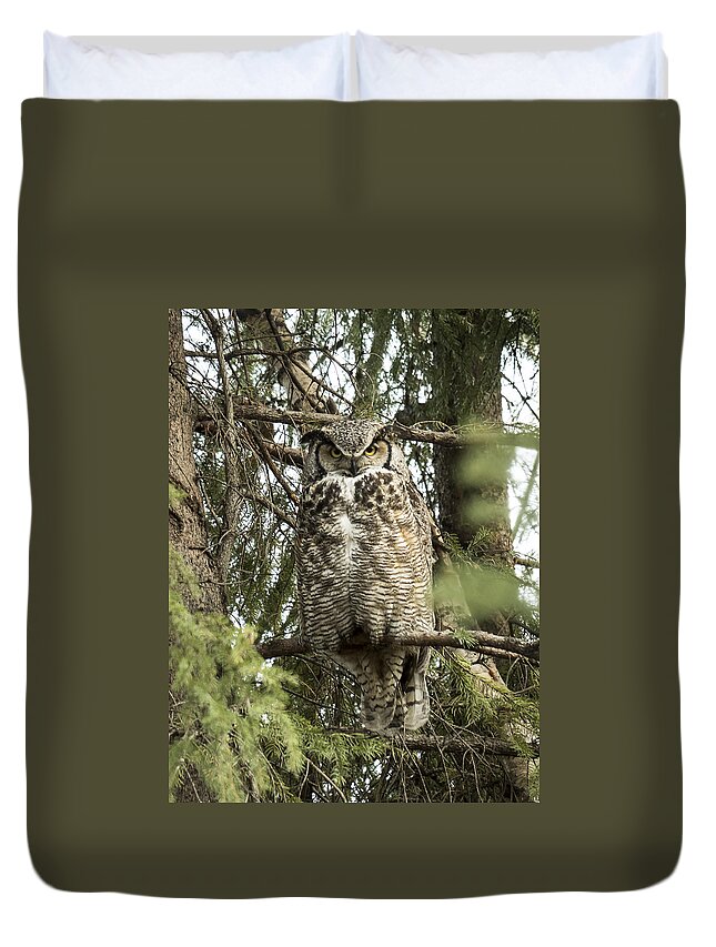 Alaska Duvet Cover featuring the photograph Great Horned #1 by Ian Johnson