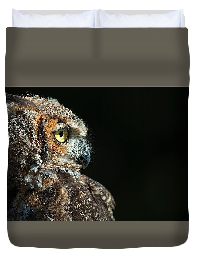 Owl Duvet Cover featuring the photograph Great Horned Owl #2 by Pat Exum
