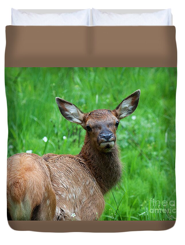 Elk Duvet Cover featuring the photograph Green Pastures by Jim Garrison
