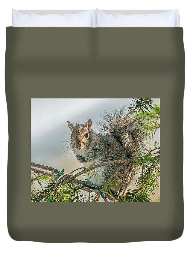 Nature Duvet Cover featuring the photograph Greetings #1 by Cathy Kovarik