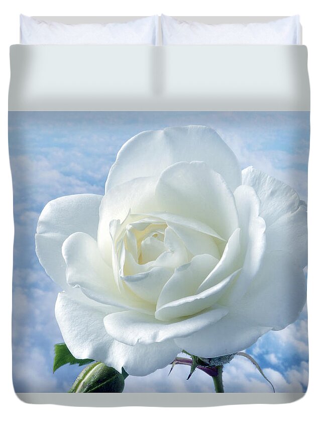 Rose Duvet Cover featuring the photograph Heavenly White Rose. by Terence Davis