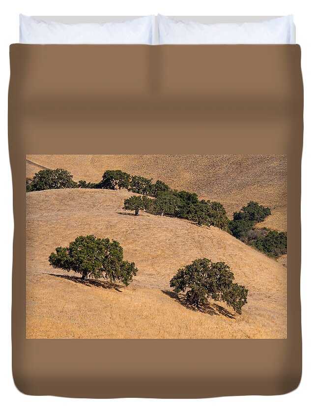 Carmel Valley Duvet Cover featuring the photograph Hillside Oaks by Derek Dean