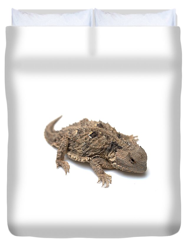 Lizard Duvet Cover featuring the photograph Horned Lizard #1 by Nathan Abbott