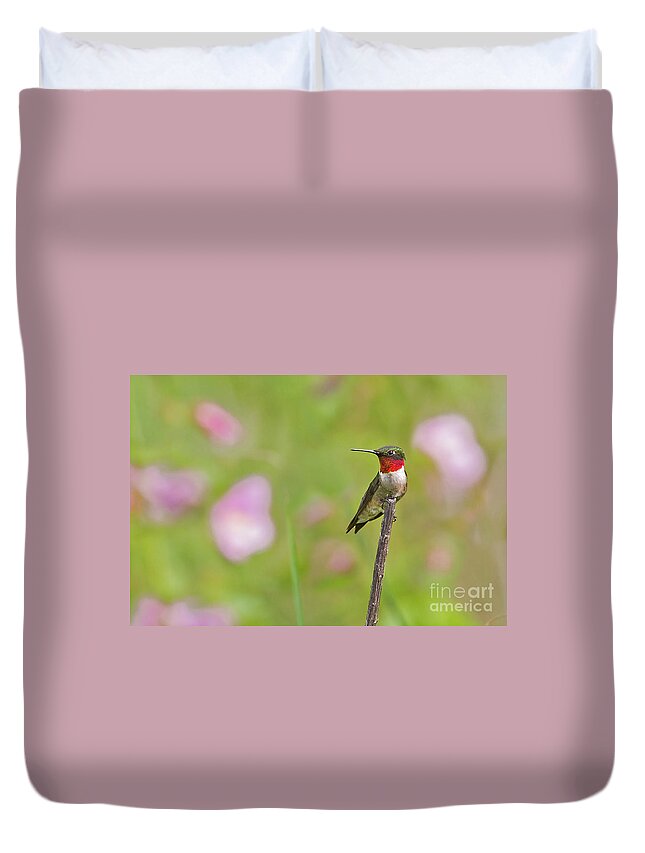 In The Pink Duvet Cover featuring the photograph In the Pink #1 by Gary Holmes