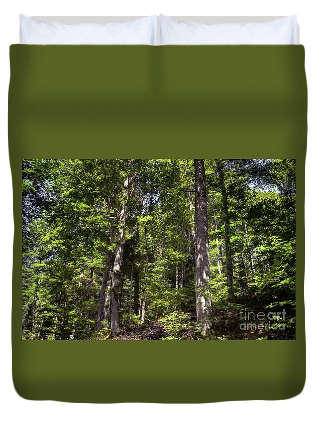 Michelle Meenawong Duvet Cover featuring the photograph In The Woods #1 by Michelle Meenawong