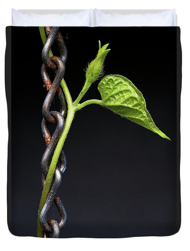 Vine Duvet Cover featuring the photograph Intertwined #1 by Christopher Holmes