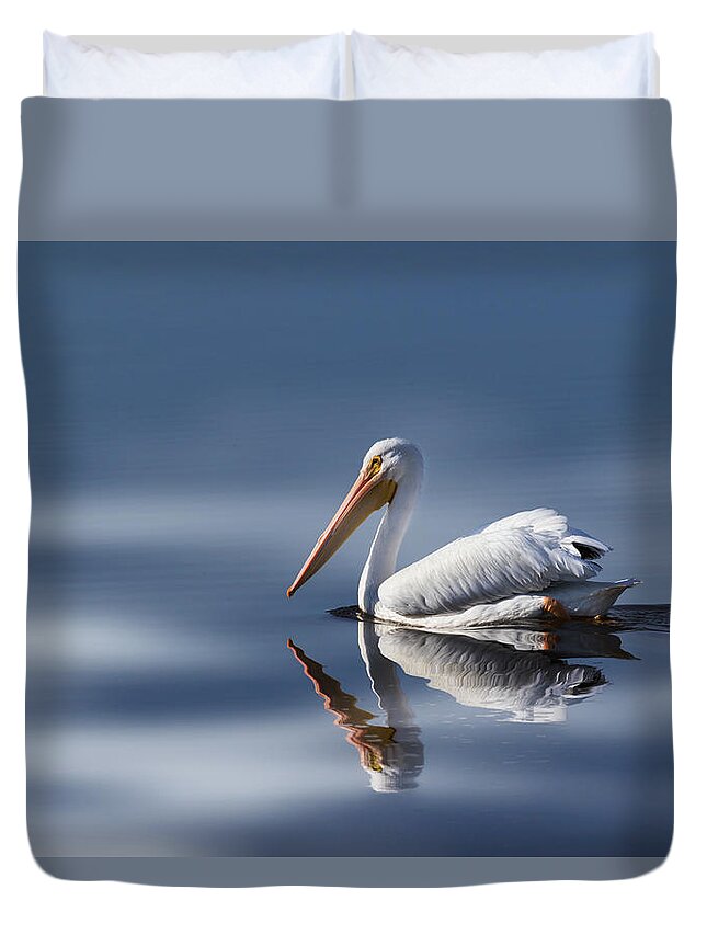 Pelican Duvet Cover featuring the photograph Into The Light #2 by Kim Hojnacki