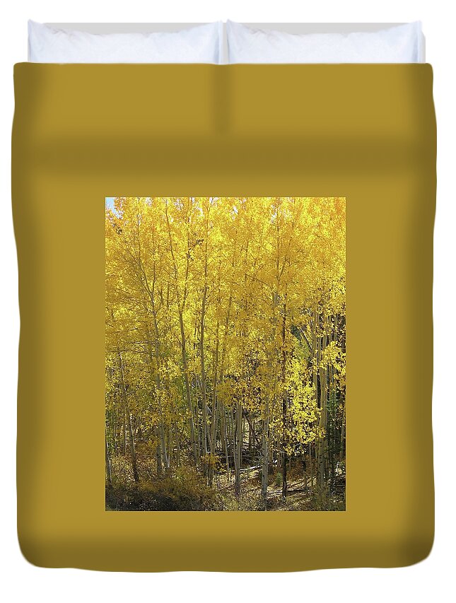 Aspen Duvet Cover featuring the photograph Invitational #1 by Judith Lauter