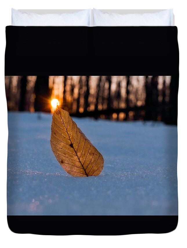 Sun Duvet Cover featuring the photograph Its the Small Things #1 by Craig Szymanski