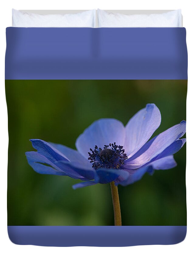 Blue Duvet Cover featuring the photograph Kissed by the light #1 by Carolyn D'Alessandro