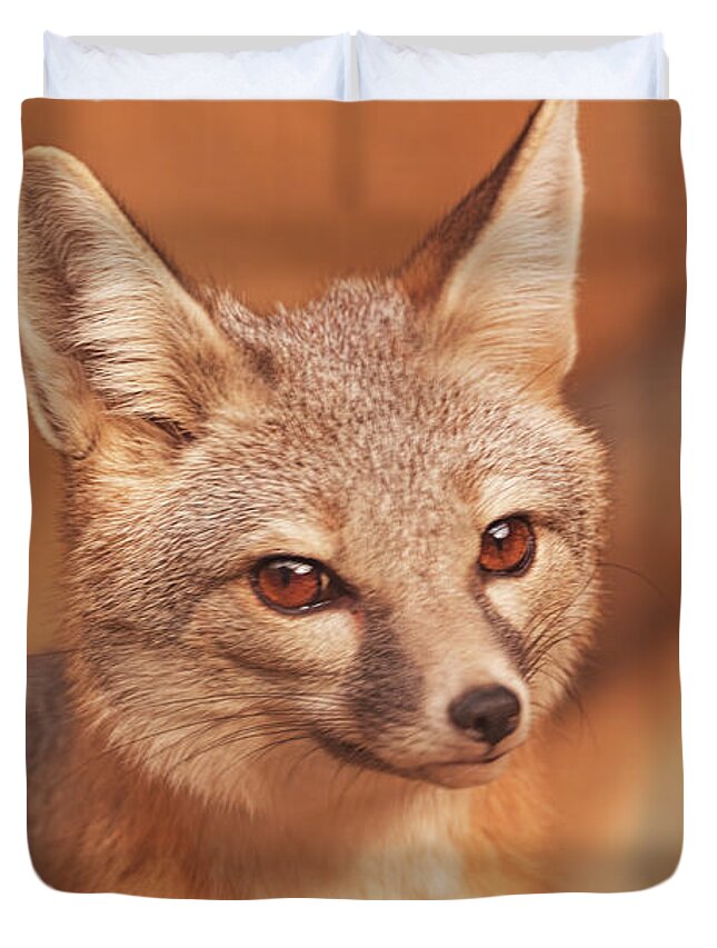 Animals Duvet Cover featuring the photograph Kit Fox #1 by Brian Cross