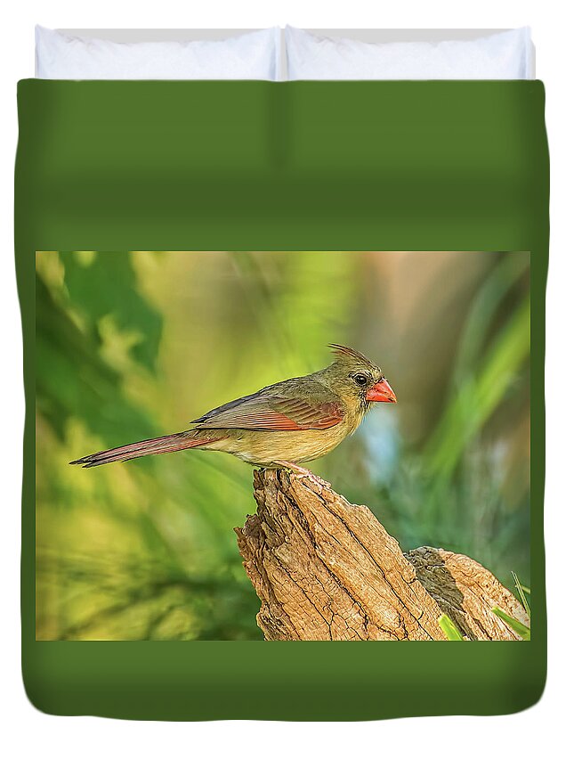 Birds Duvet Cover featuring the photograph Lady Cardinal #2 by Peggy Blackwell