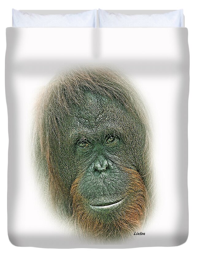 Orangutan Duvet Cover featuring the digital art Lady Of The Forest #1 by Larry Linton