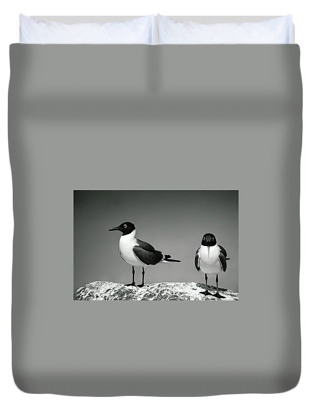 2 Laughing Gulls Duvet Cover featuring the photograph Laughing Gulls by Sally Weigand