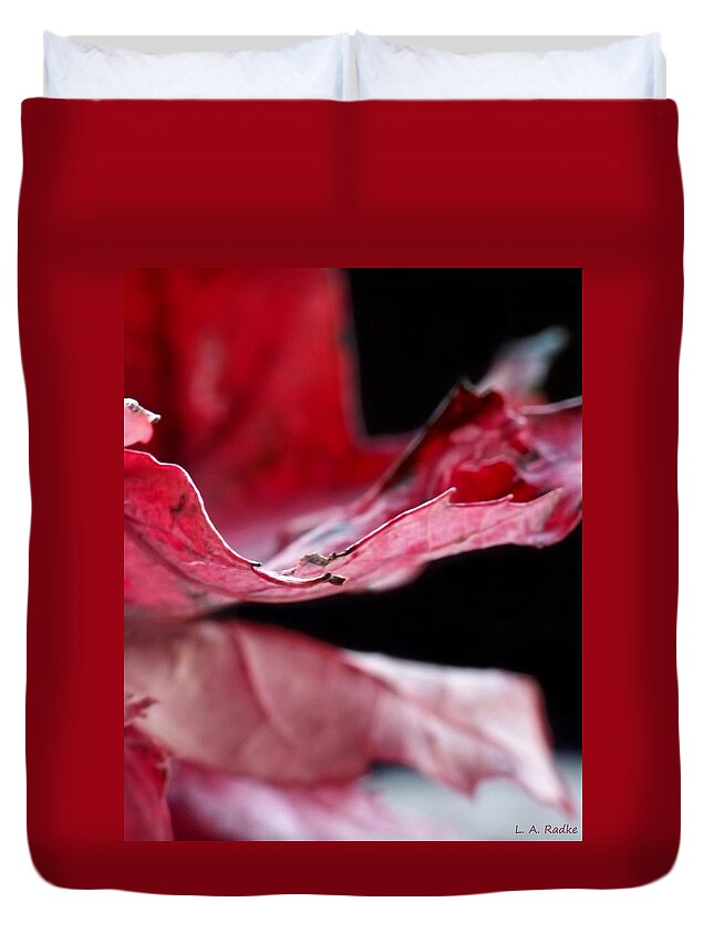 Abstract Duvet Cover featuring the photograph Leaf Study V #1 by Lauren Radke