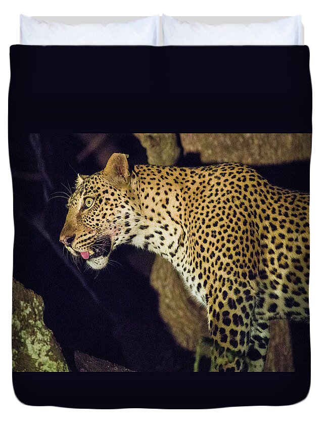 Leopard Duvet Cover featuring the photograph Leopard at Night #1 by Fran Gallogly