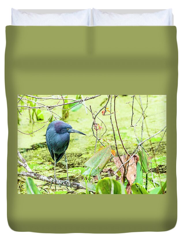 Little Blue Heron Duvet Cover featuring the photograph Little Blue Heron #1 by Ben Graham
