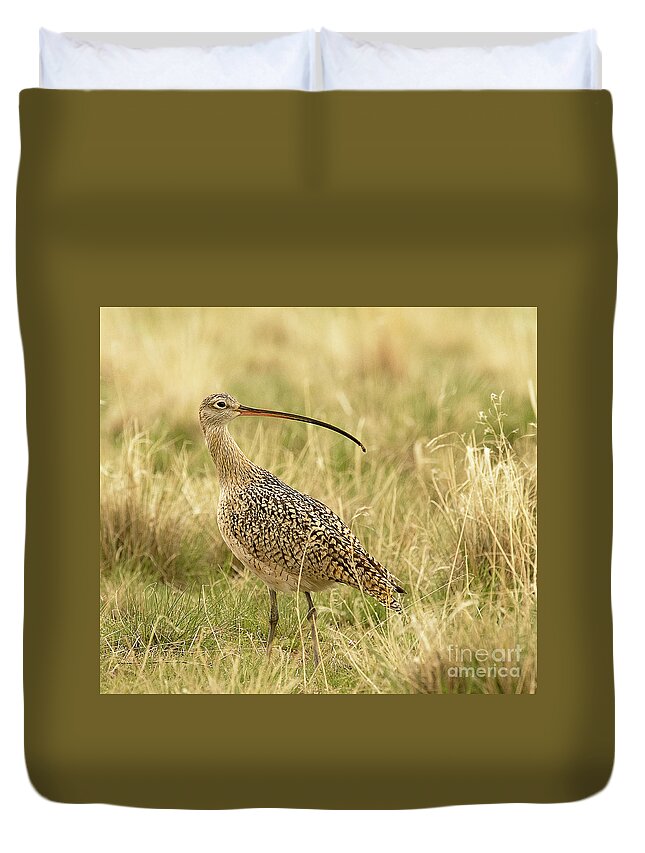Bird Duvet Cover featuring the photograph Long Billed Curlew #1 by Dennis Hammer