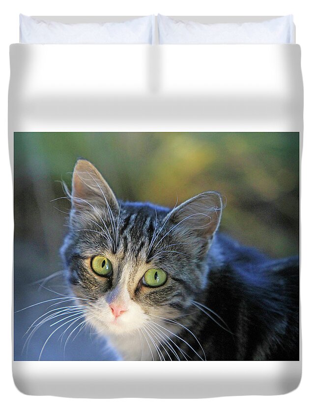 Cat Duvet Cover featuring the photograph Looking Back #1 by Shoal Hollingsworth