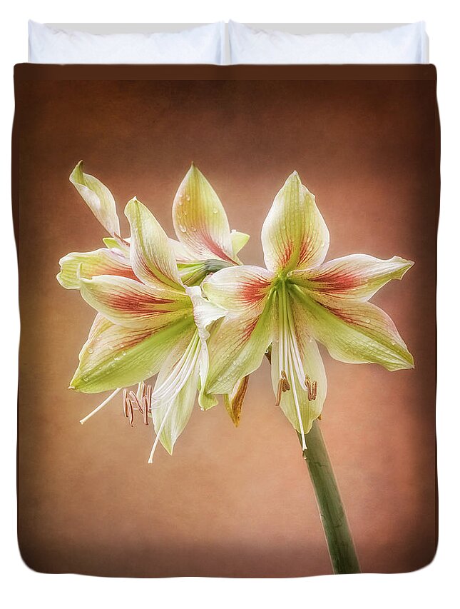 Flowers Duvet Cover featuring the photograph Three blooms of Amaryllis by Usha Peddamatham