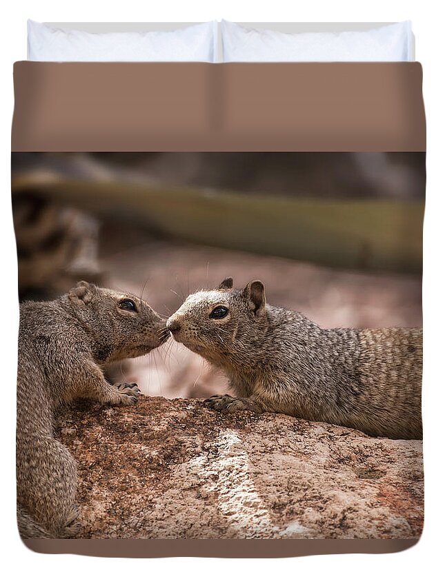 Rock Squirrels Duvet Cover featuring the photograph Love Is In The Air #2 by Saija Lehtonen