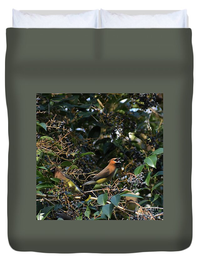 Names Of Birds Duvet Cover featuring the photograph Love Those Berries #1 by Skip Willits