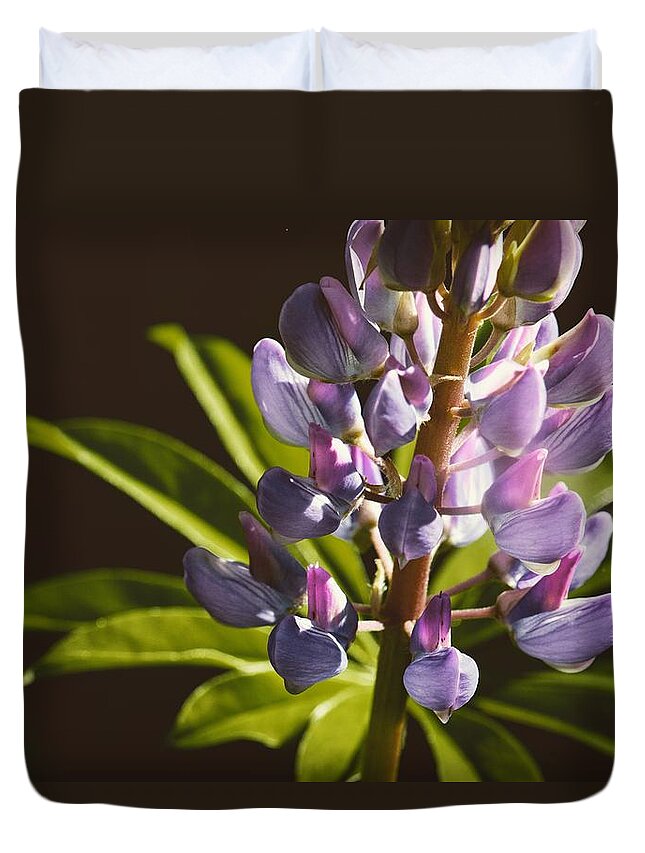 Lupine Duvet Cover featuring the photograph Lupines by Holly Ross