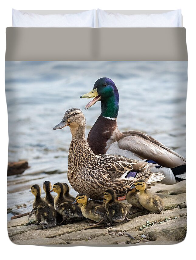 Mallard Duvet Cover featuring the photograph Mallard Duck Family by Holden The Moment