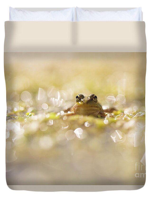 Threatened Duvet Cover featuring the photograph Marsh Frog Pelophylax ridibundus #1 by Alon Meir