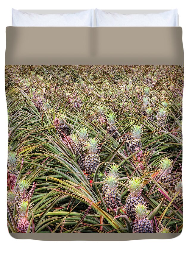 Hawaii Duvet Cover featuring the photograph Maui Gold Pineapples #1 by Jim Thompson
