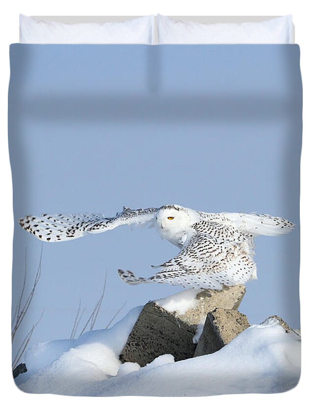 Oneness Duvet Cover featuring the photograph Maximum Lift #1 by Heather King