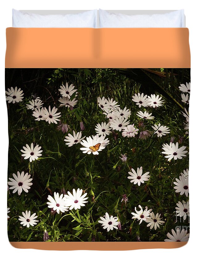 Butterfly Duvet Cover featuring the photograph Monarchs and Daisies #2 by Cassandra Buckley