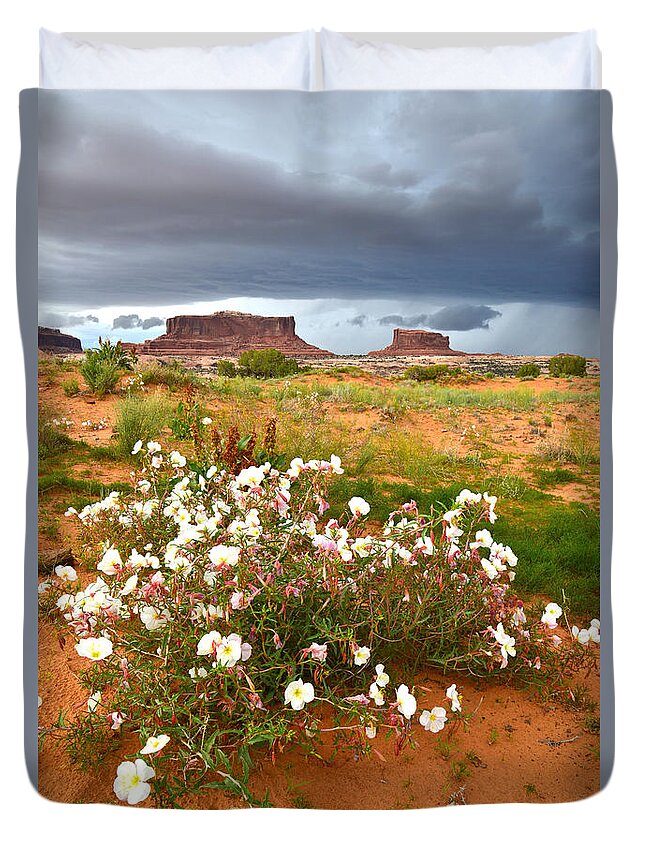 Canyonlands National Park Duvet Cover featuring the photograph Monitor and Merrimac #2 by Ray Mathis