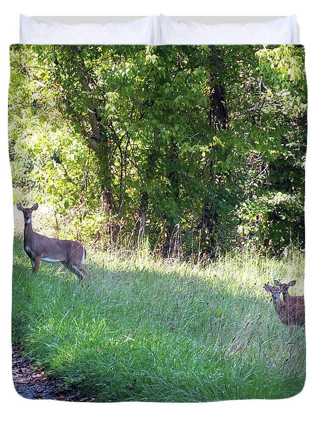 Deer Duvet Cover featuring the photograph Mother and Children #1 by Kimmary MacLean