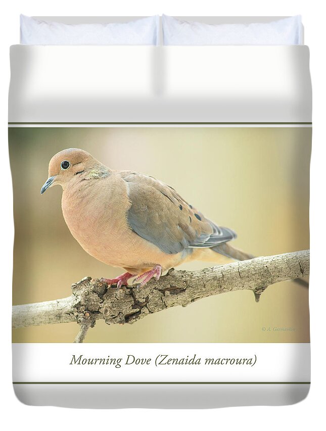 Mourning Dove Duvet Cover featuring the photograph Mourning Dove, Animal Portrait #1 by A Macarthur Gurmankin