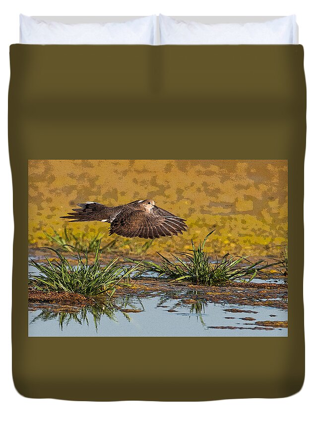 Mourning Dove Duvet Cover featuring the photograph Mourning Dove in Flight #1 by Tam Ryan