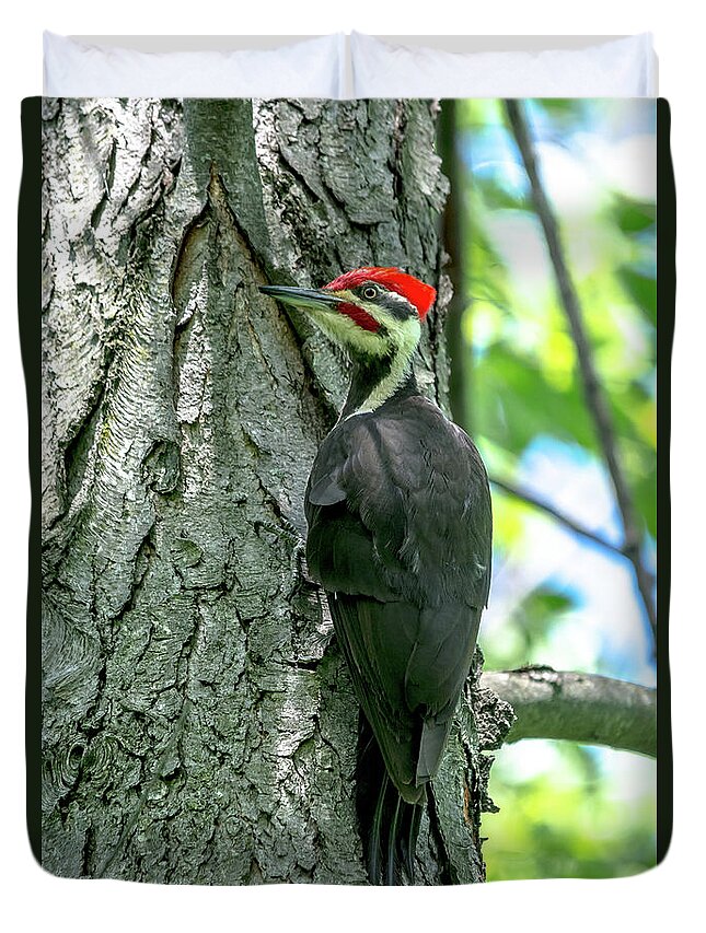 Cheryl Baxter Photography Duvet Cover featuring the photograph Mr. Pileated Woodpecker #1 by Cheryl Baxter