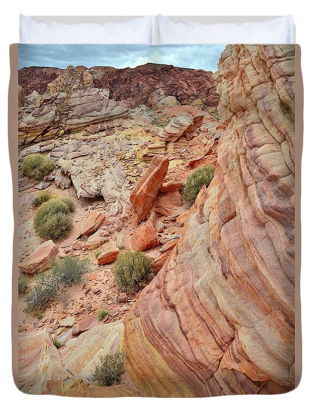 Valley Of Fire State Park Duvet Cover featuring the photograph Multicolored Wave of Sandstone in Valley of Fire #1 by Ray Mathis