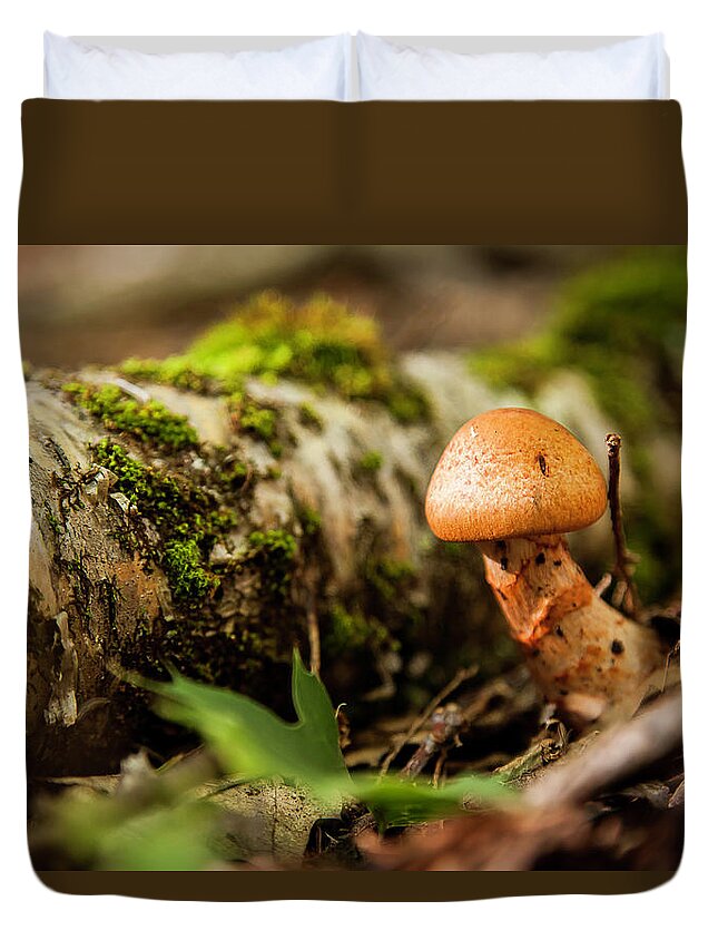 Fall Duvet Cover featuring the photograph Mushroom #1 by Benjamin Dahl