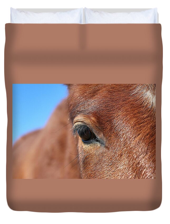 Virginia Range Mustangs Duvet Cover featuring the photograph Mustang Macro #1 by Maria Jansson