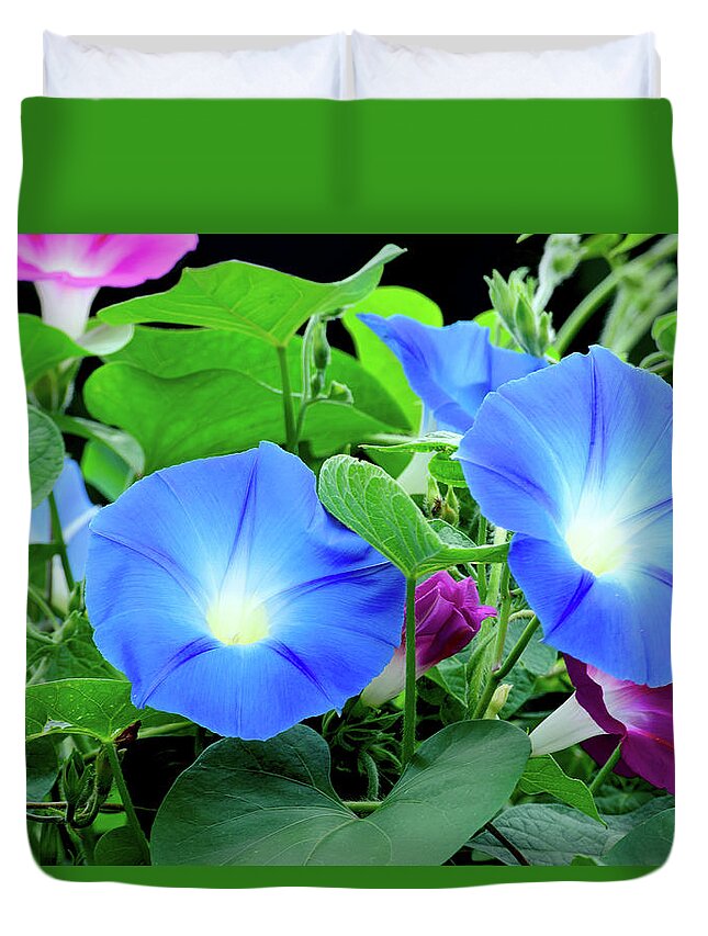 Flower Duvet Cover featuring the photograph My morning glory #1 by Camille Lopez