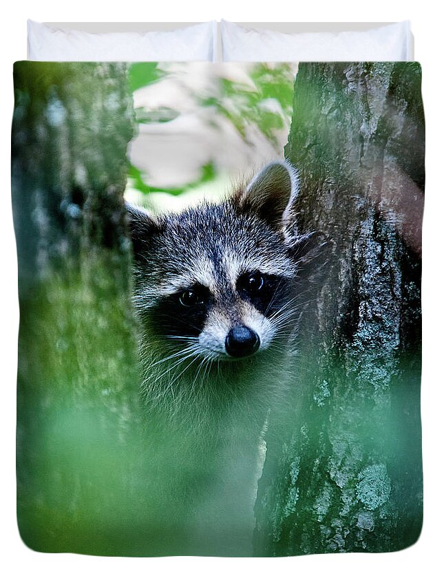 Racoon Duvet Cover featuring the photograph On Watch #1 by Christopher Holmes